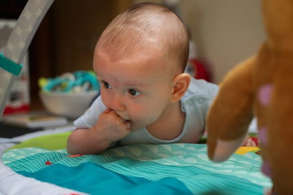 Montessori Spielzeug Baby